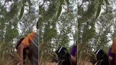 Bokep Indo Main Dikebun Sudah Mau Sore Ceweknya Bilang Sebntar Lagi - Bokep Indo