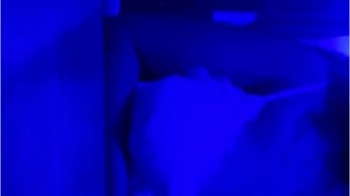 Bokep Indo Sigemoy Gak Berhenti Goyang - Bokep Indo