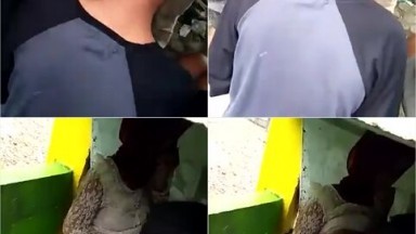 Bokep Hijab Di Remas Beramai Ramai Sama Pemuda Penghisap Lem- Bokepsin