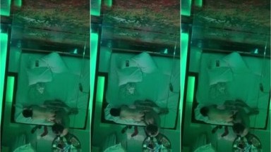 Bokep Eksekusi Ttm Lonte Yg Merangkap Jadi Dj 2 - Bokepindoh